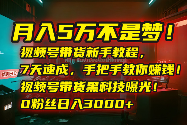 月入5万不是梦！视频号带货新手教程，7天速成，手把手教你赚钱！视频号…-谷进海小站