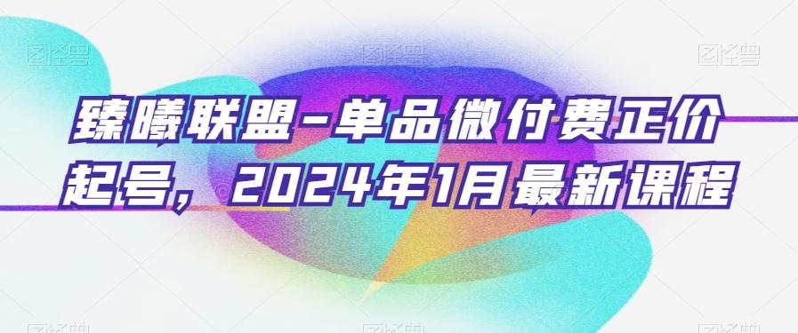 臻曦联盟-单品微付费正价起号，2024年1月最新课程-谷进海小站