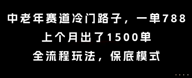 中老年赛道冷门路子，一单788，上个月出了1500单，全流程玩法，保底模式【揭秘】-谷进海小站