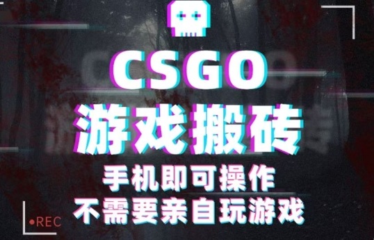 CSGO游戏挂G捡漏，单日扫货5张+，年底小高峰上车可吃肉，手机即可操作，兼职副业创业网创【揭秘】-谷进海小站