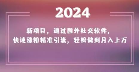 2024新项目，通过国外社交软件，快速涨粉精准引流，轻松做到月入上万【揭秘】-谷进海小站