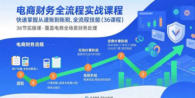 电商财务全流程实战课程：快速掌握从建账到报税的全流程技能(36节课-谷进海小站