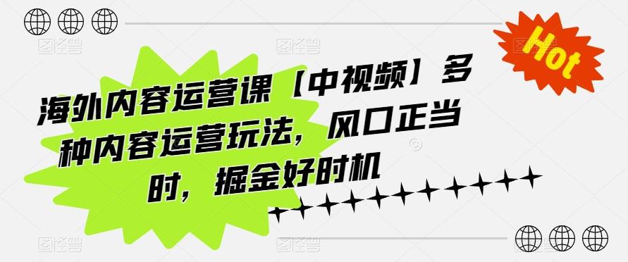 海外内容运营课【中视频】多种内容运营玩法，风口正当时，掘金好时机-谷进海小站