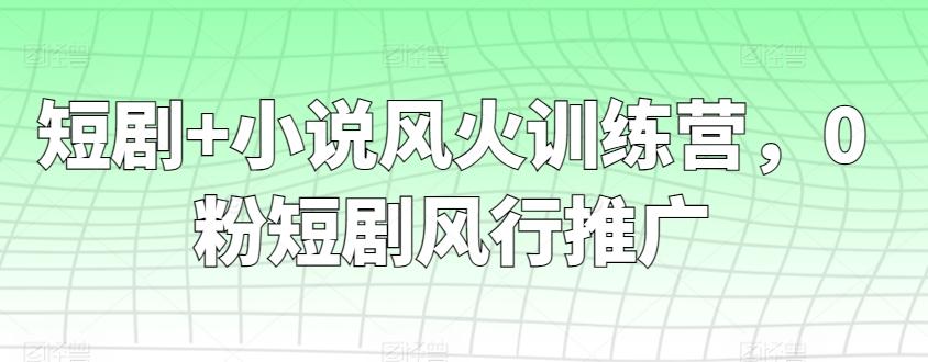 短剧+小说风火训练营，0粉短剧风行推广-谷进海小站