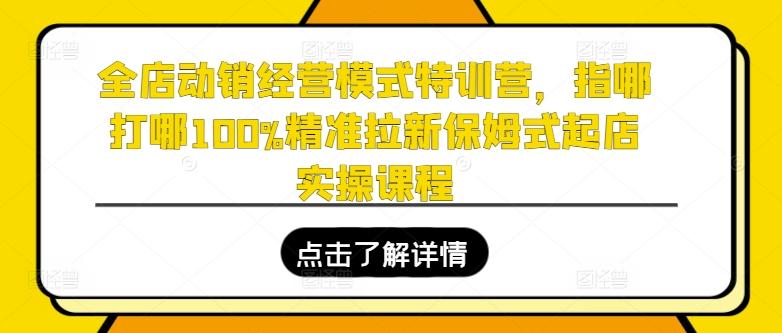 全店动销经营模式特训营，指哪打哪100%精准拉新保姆式起店实操课程-谷进海小站