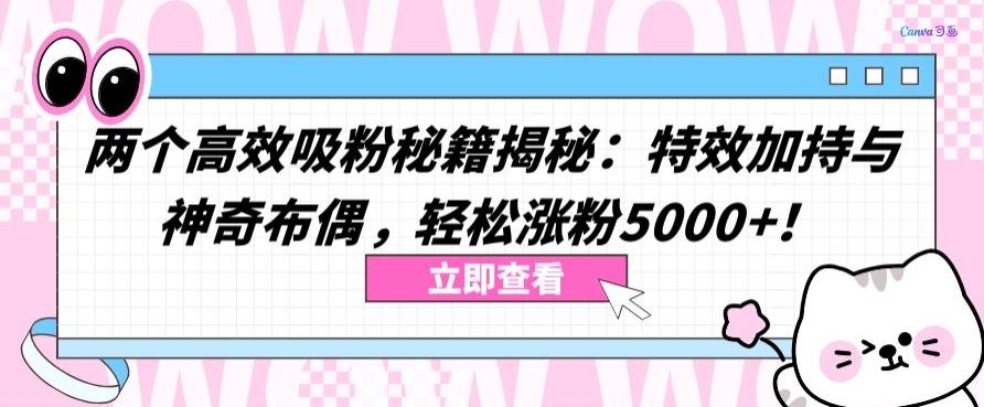 两个高效吸粉秘籍揭秘：特效加持与神奇布偶，轻松涨粉5000+【揭秘】-谷进海小站