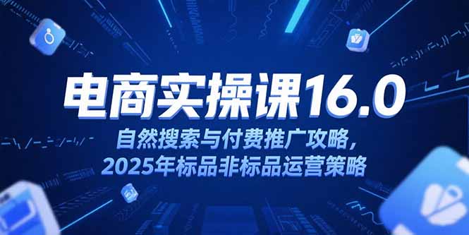 淘宝电商运营课16.0，自然搜索与付费推广攻略，2025年标品非标品运营策略-谷进海小站