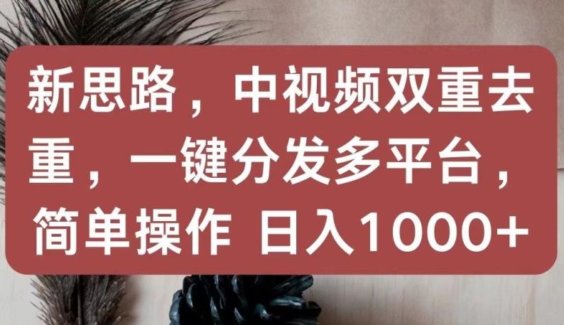 新思路，中视频双重去重，一键分发多平台，简单操作，日入1000+【揭秘】-谷进海小站
