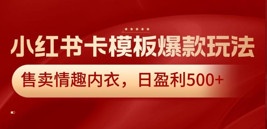 小红书卡模板爆款玩法，售卖情趣内衣，日盈利500+【揭秘】-谷进海小站
