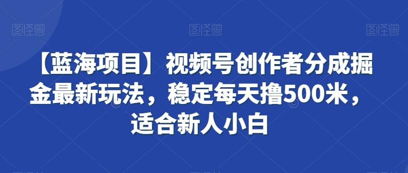【蓝海项目】视频号创作者分成掘金最新玩法，稳定每天撸500米，适合新人小白【揭秘】-谷进海小站