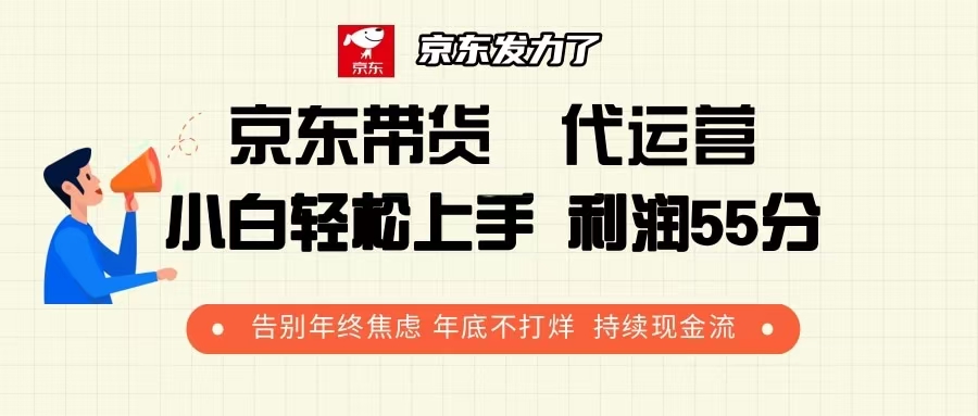 京东带货 代运营 利润55分 告别年终焦虑 年底不打烊 持续现金流-谷进海小站