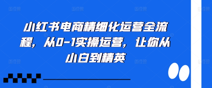 小红书电商精细化运营全流程，从0-1实操运营，让你从小白到精英-谷进海小站