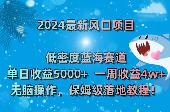 2024最新风口项目，低密度蓝海赛道，单日收益5000+，一周收益4w+！【揭秘】-谷进海小站