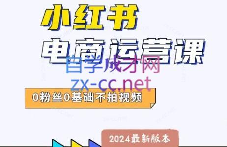 达哥·小红书电商运营(2024版)-谷进海小站