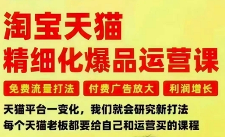 淘宝天猫精细化爆品运营课，免费流量打法-付费广告放大-利润增长-三大核心痛点，一次全部解决-谷进海小站