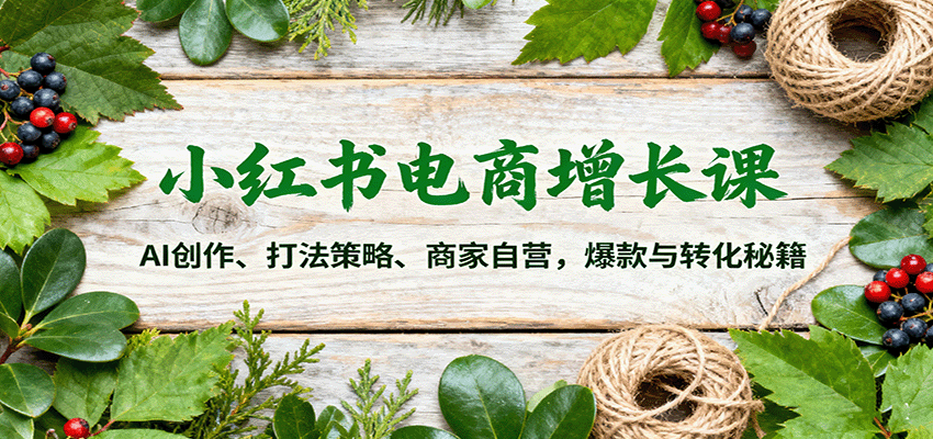 小红书电商增长课：AI创作、打法策略、商家自营，爆款与转化秘籍-谷进海小站