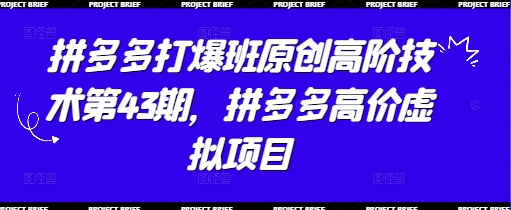 拼多多打爆班原创高阶技术第43期，拼多多高价虚拟项目-谷进海小站