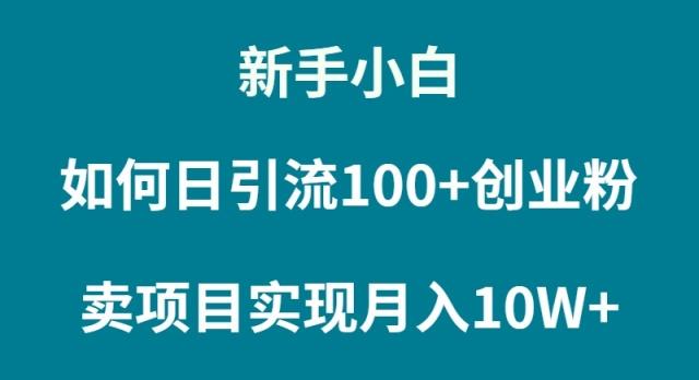 (9556期)新手小白如何通过卖项目实现月入10W+-谷进海小站