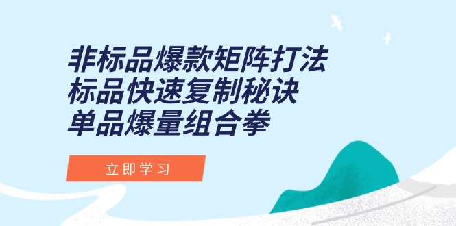 非标品爆款矩阵打法，标品快速复制秘诀，单品爆量组合拳-谷进海小站