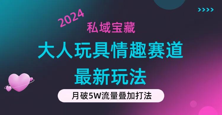 私域宝藏：大人玩具情趣赛道合规新玩法，零投入，私域超高流量成单率高-谷进海小站
