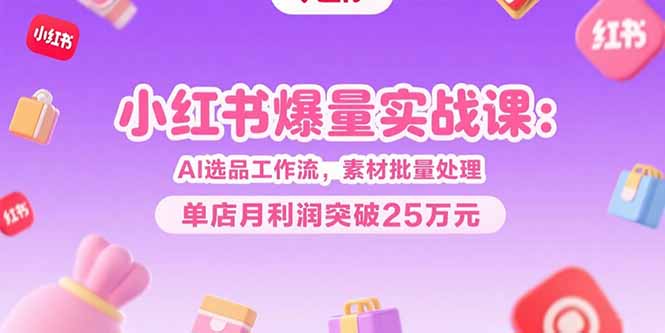 小红书爆量实战课：AI选品工作流，素材批量处理，单店月利润突破25万元-谷进海小站