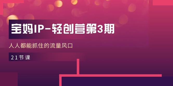 宝妈IP-轻创营第3期，人人都能抓住的流量风口(21节课-谷进海小站