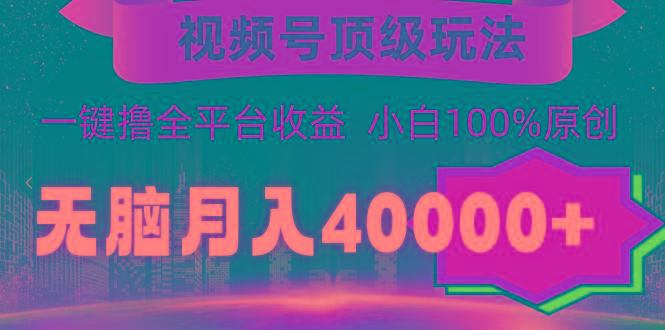 (9281期)视频号顶级玩法，无脑月入40000+，一键撸全平台收益，纯小白也能100%原创-谷进海小站