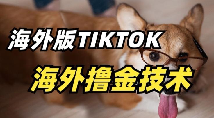 抖音海外版tiktok撸金技术，这个风口行业，赚钱真的不难【揭秘】-谷进海小站