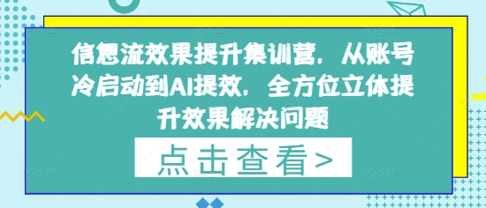 信息流效果提升集训营，从账号冷启动到AI提效，全方位立体提升效果解决问题-谷进海小站