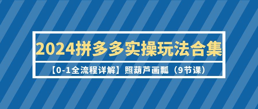(9559期)2024拼多多实操玩法合集【0-1全流程详解】照葫芦画瓢(9节课)-谷进海小站