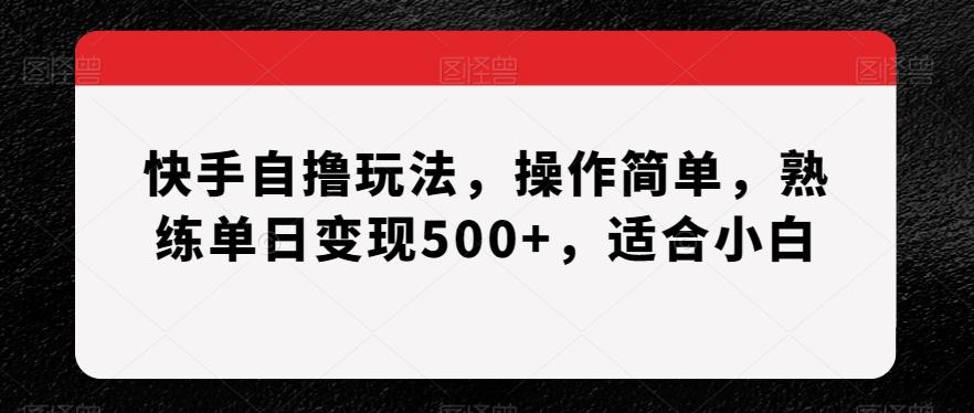 快手自撸玩法，操作简单，熟练单日变现500+，适合小白【揭秘】-谷进海小站