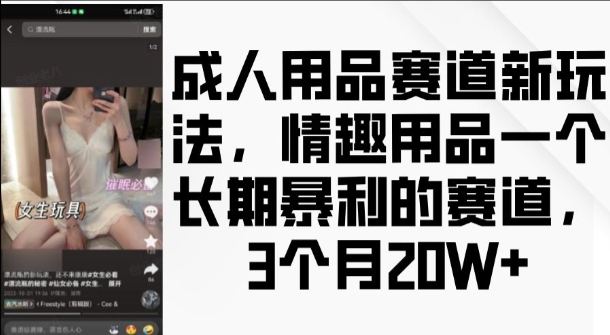 成人用品赛道新玩法，情趣用品一个长期暴利的赛道，3个月收益20个【揭秘】-谷进海小站
