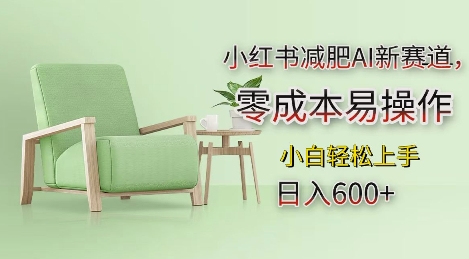 小红书减肥AI新赛道，零成本易操作，日入多张，小白轻松上手【揭秘】-谷进海小站