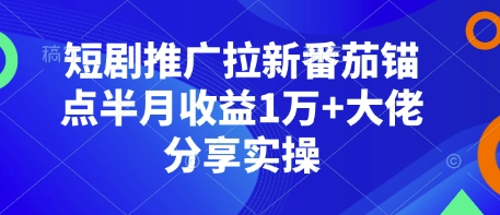 短剧推广拉新番茄锚点半月收益1万+大佬分享实操-谷进海小站