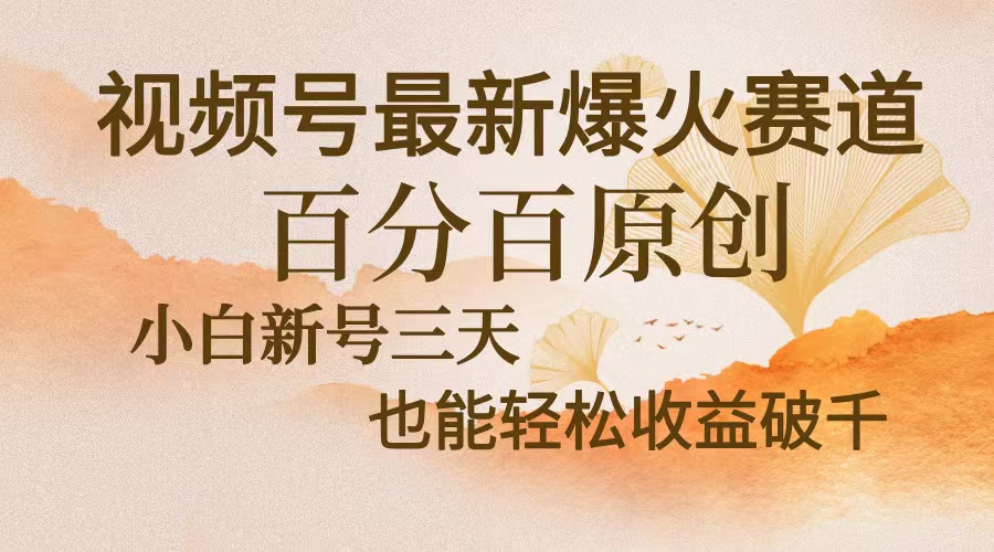 视频号最新爆火赛道，中老年粉深信不疑，百分百原创，新号三天收益轻松…-谷进海小站