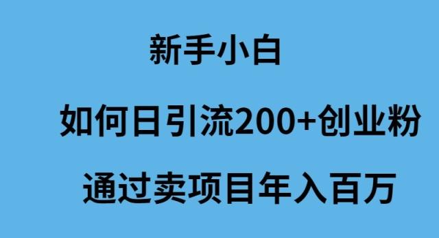 (9668期)新手小白如何日引流200+创业粉通过卖项目年入百万-谷进海小站