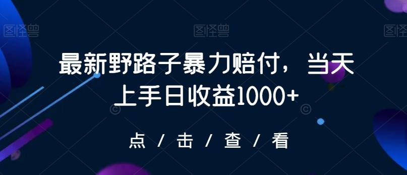 最新野路子暴力赔付，当天上手日收益1000+【仅揭秘】-谷进海小站