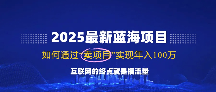 2025最新蓝海项目，零门槛轻松复制，月入10万+，新手也能操作！-谷进海小站