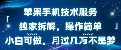 苹果手机技术服务，独家拆解，操作简单，小白可做，月过1W不是梦-谷进海小站