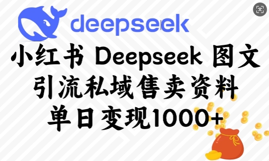 小红书Deepseek图文引流私域售卖资料，单日变现多张-谷进海小站