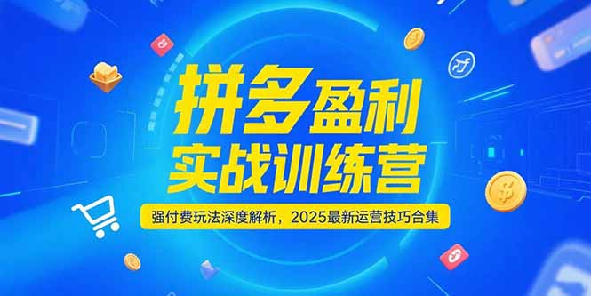 拼多多盈利实战训练营，强付费玩法深度解析，2025运营技巧合集-更新6月-谷进海小站