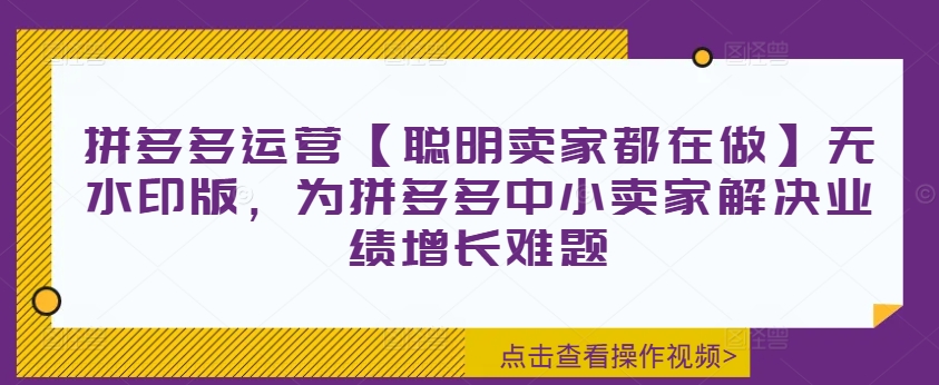 拼多多运营【聪明卖家都在做】无水印版，为拼多多中小卖家解决业绩增长难题-谷进海小站