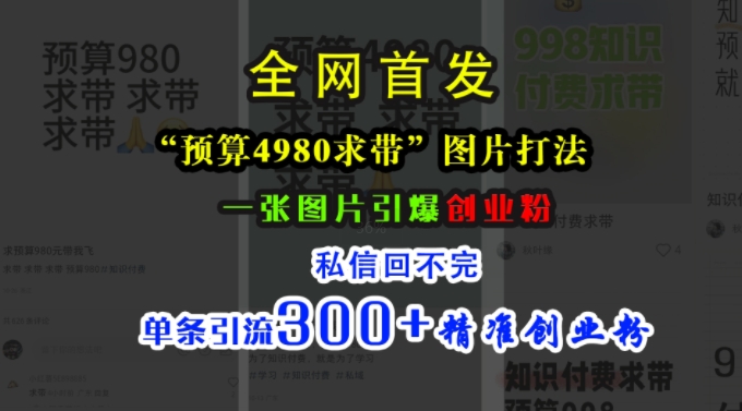 小红书“预算4980带我飞”图片打法，一张图片引爆创业粉，私信回不完，单条引流300+精准创业粉-谷进海小站
