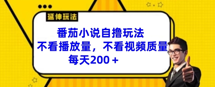 番茄小说自撸玩法，不看播放量，不看视频质量，每天200+【揭秘】-谷进海小站
