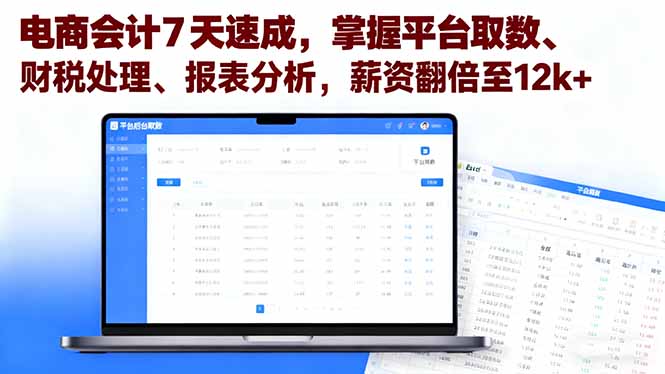 电商会计7天速成，掌握平台取数、财税处理、报表分析，薪资翻倍至12k+-谷进海小站