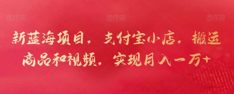 新蓝海项目，支付宝小店，搬运商品和视频，实现月入一万+【揭秘】-谷进海小站