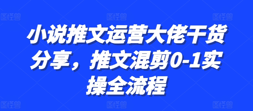 小说推文运营大佬干货分享，推文混剪0-1实操全流程-谷进海小站