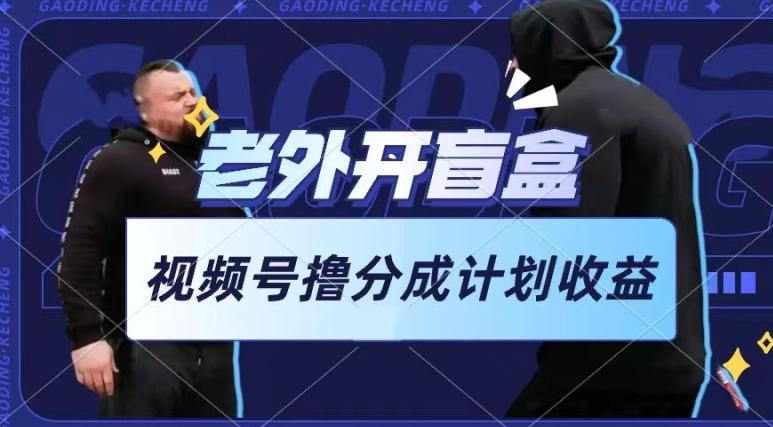 老外开盲盒视频，撸视频号分成计划收益，每天只需一小时，新手小白轻松上手【揭秘】-谷进海小站