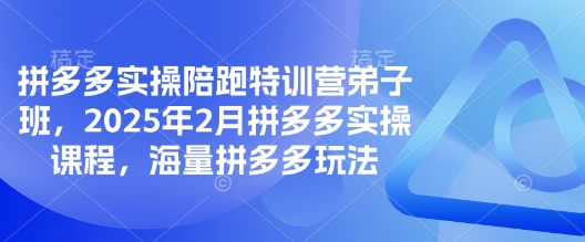 拼多多实操陪跑特训营弟子班，2025年2月拼多多实操课程，海量拼多多玩法-谷进海小站