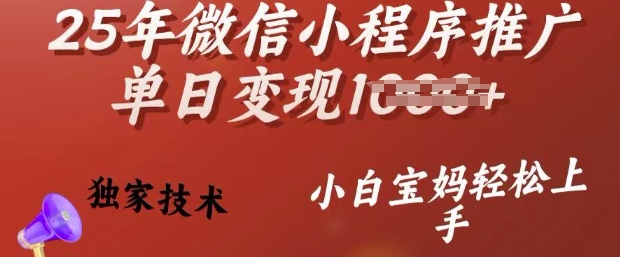25年微信小程序推广单日变现多张，独家技术，小白宝妈轻松上手【揭秘】-谷进海小站